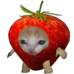 Foto de perfil de Maria Fernanda Luciana Vargas Soto