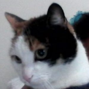 Foto de perfil de Alessia Milene Sucasaca